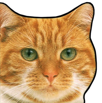 Animal-Shaped Board Books: Cats & Kittens