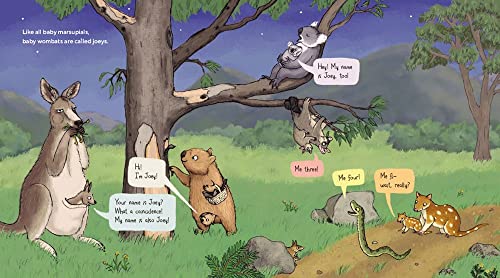Wombats Are Pretty Weird: A (Not So) Serious Guide