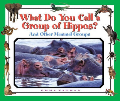 What Do You Call a Group Of - Hippos? And Other Mammal Groups