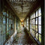 Ellis Island: Ghosts of Freedom by Wilkes, Stephen