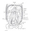 Netter's Anatomy Coloring Book: with Student Consult Access (Netter Basic Science)