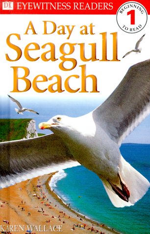 DK Readers: Day at Seagull Beach (Level 1: Beginning to Read)