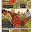 Sleeping Beauties, Vol. 2 (Graphic Novel)