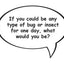 Teen Talk in a Jar