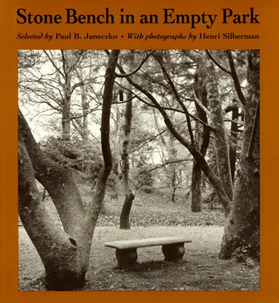 Stone Bench In An Empty Park