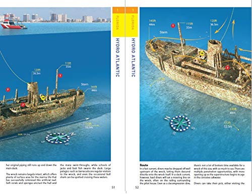 Reef Smart Guides Florida: Fort Lauderdale, Pompano Beach and Deerfield Beach: Scuba Dive. Snorkel. Surf. (Best Diving Spots in Florida)