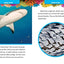 National Geographic Kids 5-Minute Shark Stories (5-Minute Stories)