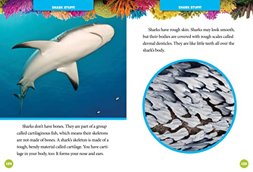 National Geographic Kids 5-Minute Shark Stories (5-Minute Stories)