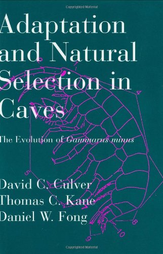 Adaptation and Natural Selection in Caves: The Evolution of Gammarus minus