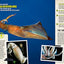 History's Mysteries: Curious Clues, Cold Cases, and Puzzles From the Past (National Geographic Kids)