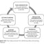 Amplify Your Impact: Coaching Collaborative Teams in PLCs (Instructional Leadership Development and Coaching Methods for Collaborative Learning) (Solutions)