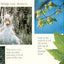 A Tree for All Seasons (Rise and Shine)