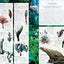 The World of Avatar: A Visual Exploration