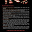 American Renaissance: Our Life at the Turn of the 21st Century