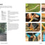 Forest School Adventure: Outdoor Skills and Play for Children