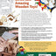 Easy Handmade Toys & Puzzles: 35 Wood Projects & Patterns (Fox Chapel Publishing) Compilation from Scroll Saw Woodworking & Crafts Magazine for Beginner to Intermediate Scrollers; Full-Size Patterns