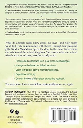We Walk Beside You: Animal Messages for an Awakening World