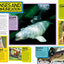 National Geographic Animal Encyclopedia: 2,500 Animals with Photos, Maps, and More!
