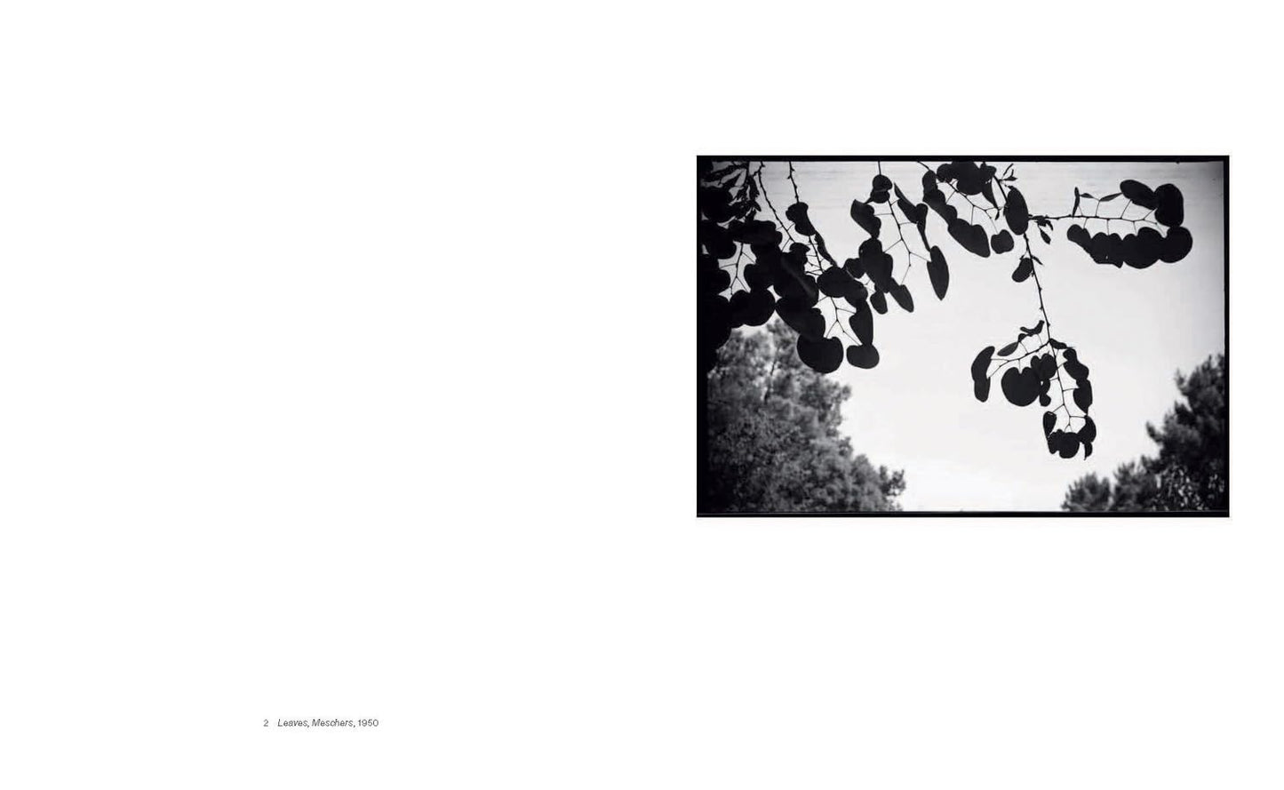 Shape, Ground, Shadow: The Photographs of Ellsworth Kelly