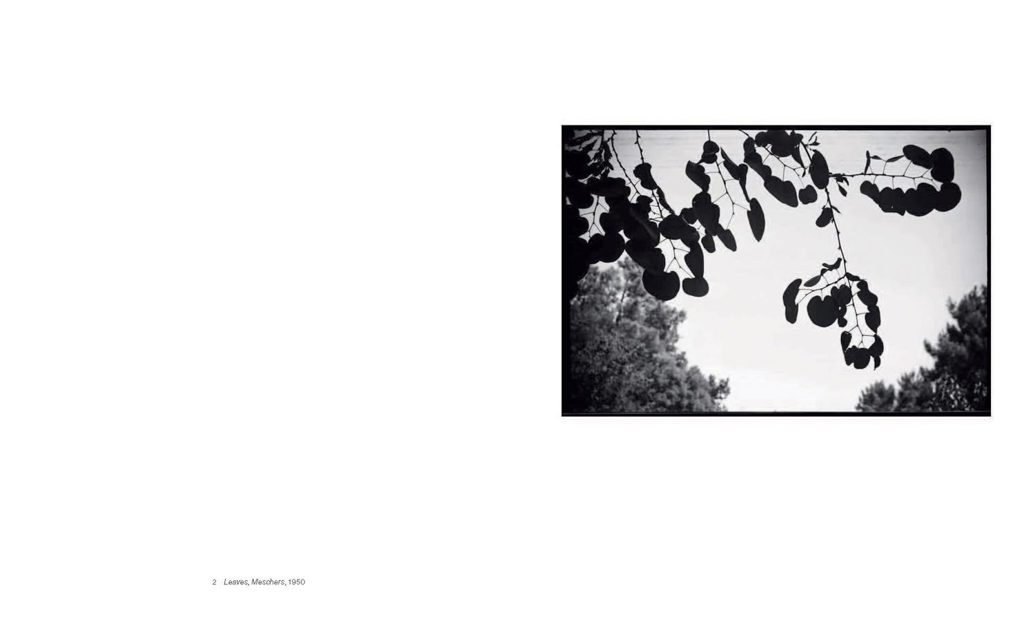 Shape, Ground, Shadow: The Photographs of Ellsworth Kelly
