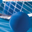 Beginning Racquetball (Cengage Learning Activity)