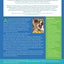 Blended Practices for Teaching Young Children in Inclusive Settings