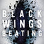 Black Wings Beating (The Skybound Saga, 1)
