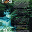 On Fertile Ground: A Natural History of Human Reproduction