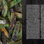 Charcoal: New Ways to Cook with Fire: A Cookbook