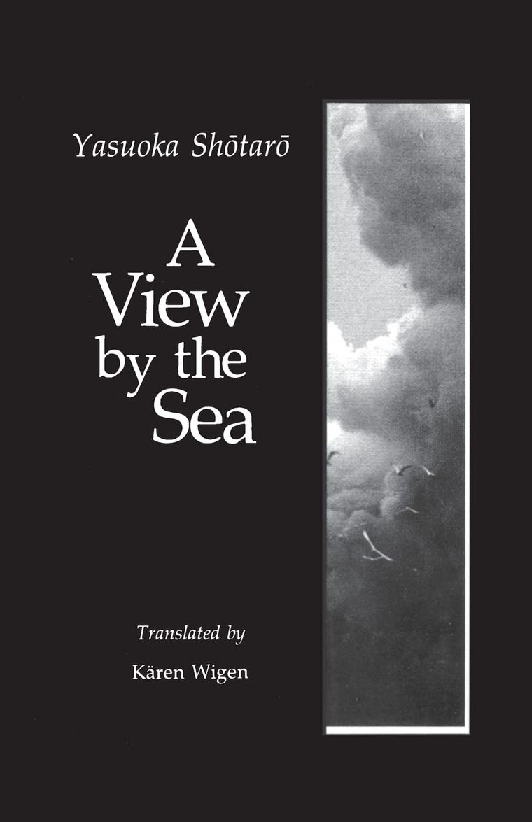 A View by the Sea (Modern Asian Literature Series)
