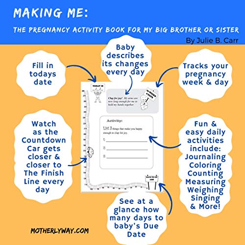 Making Me: The Pregnancy Activity Book for My Big Brother or
