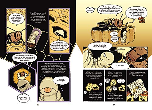 The Way of the Hive: A Honey Bee's Story