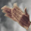 Inside Deaf Culture by Padden, Carol A.
