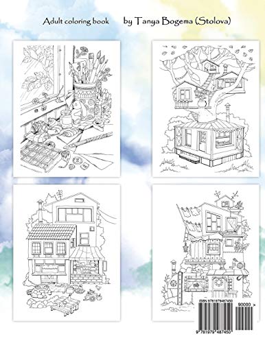 Adult Coloring Book: Nice Little Town