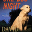 One Dog Night (An Andy Carpenter Novel)