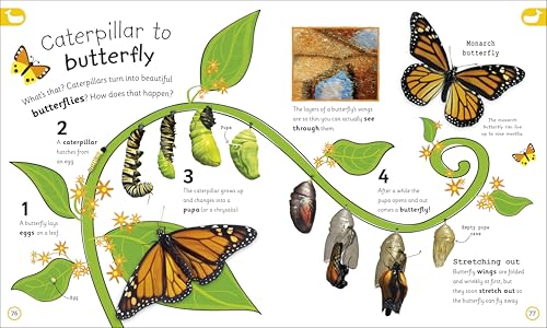 My Encyclopedia of Very Important Things: For Little Learners Who Want to Know Everything (My Very Important Encyclopedias)