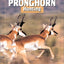 Pronghorn Hunting (The Complete Hunter)