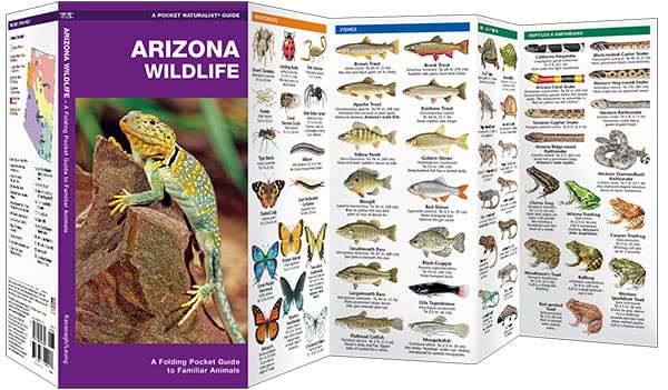 Arizona Wildlife: A Folding Pocket Guide to Familiar Animals (Wildlife and Nature Identification)