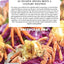The Green Crab Cookbook: An Invasive Species Meets a Culinary Solution
