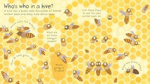 First Questions and Answers: Why do we need bees?