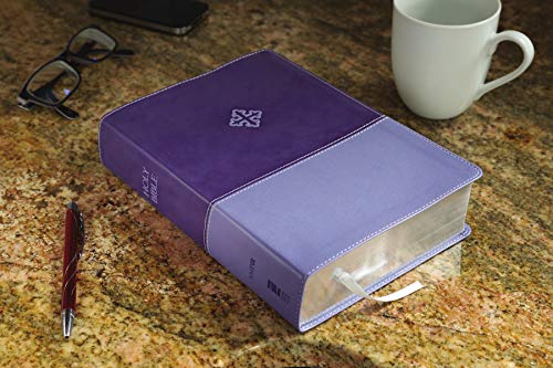 The Amplified Study Bible, Leathersoft, Purple