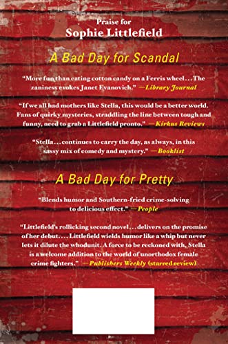 A Bad Day for Mercy: A Crime Novel (Stella Hardesty Crime Novels, 4)