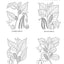 Medicinal and Other Uses of North American Plants: A Historical Survey with Special Reference to the Eastern Indian Tribes