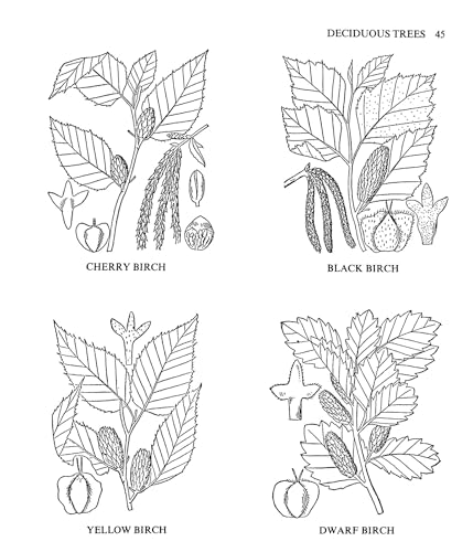 Medicinal and Other Uses of North American Plants: A Historical Survey with Special Reference to the Eastern Indian Tribes