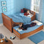 Benches, Chairs and Beds: Practical Projects from Shaker to Contemporary (Best of Woodworker's Journal)