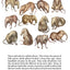How the Piloses Evolved Skinny Noses (Evolving Minds)