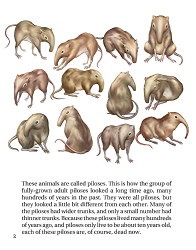 How the Piloses Evolved Skinny Noses (Evolving Minds)