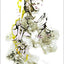 The Linestrider Tarot (Linestrider Tarot, 1)