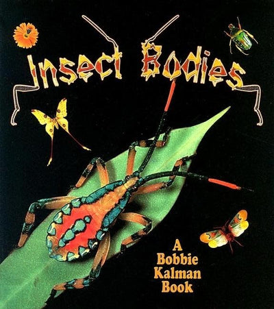 Insect Bodies (World of Insects)