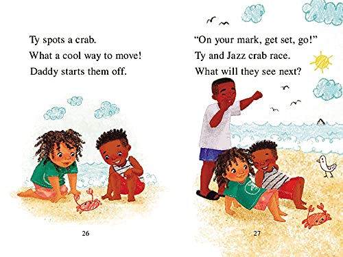 Ty's Travels: Beach Day! (My First I Can Read)